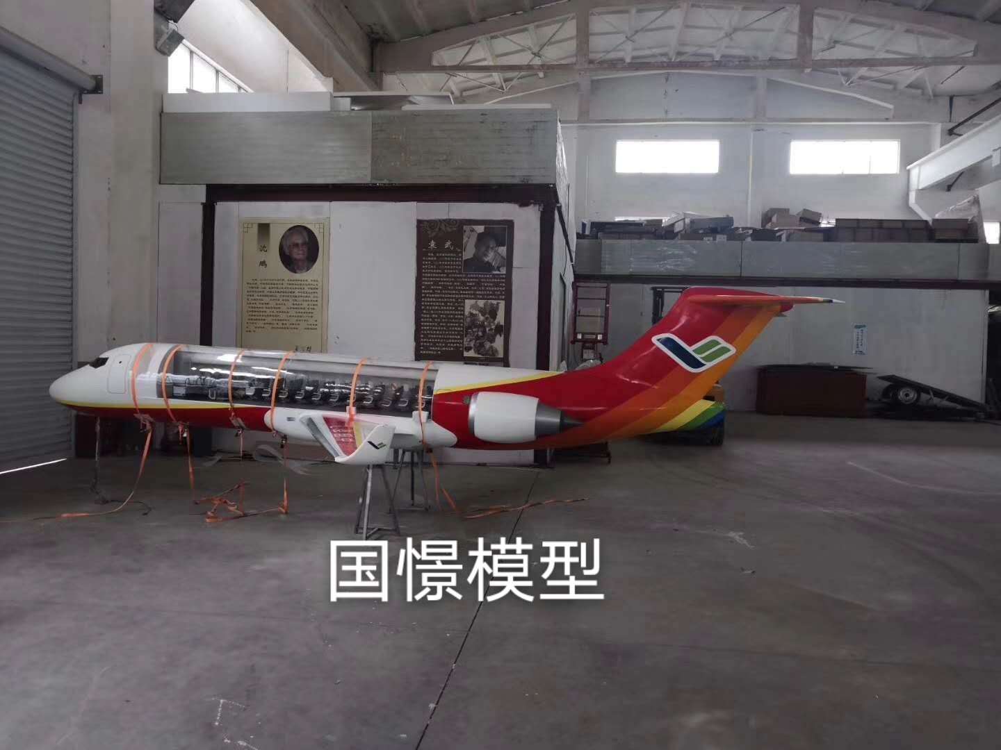 新源县飞机模型